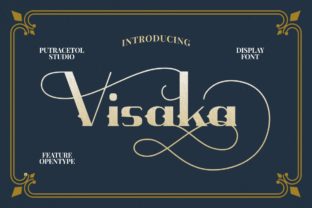 Visaka Font Review: Dynamic Display Type for Editorial Layouts